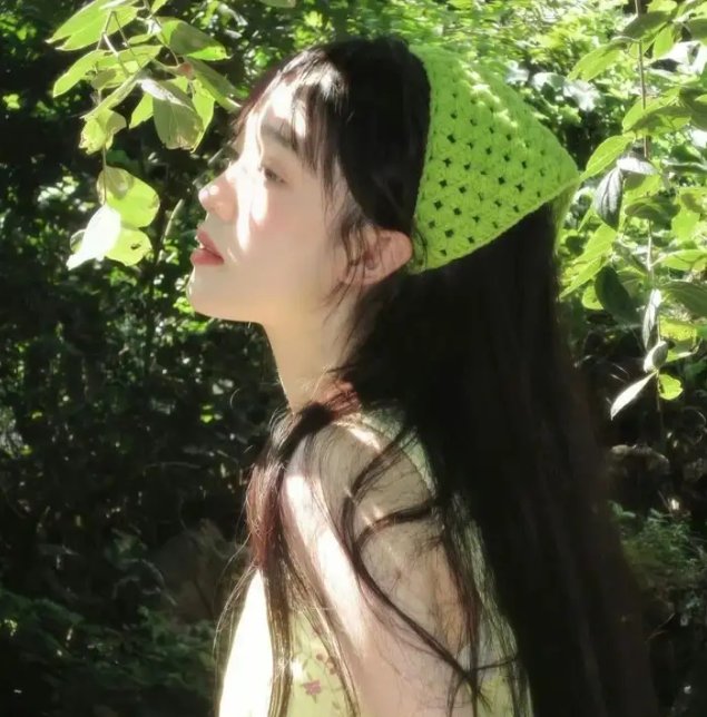 人权斗士：罗莎派克封面